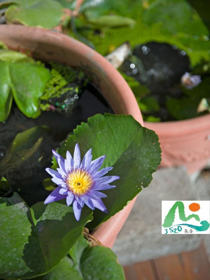 3520 Homestay Taitung 외부 사진